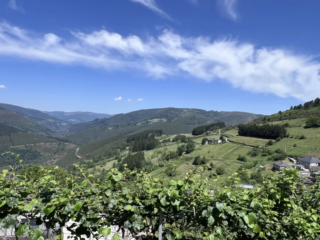 HUERTA-ARRIBA-VISTAS-1