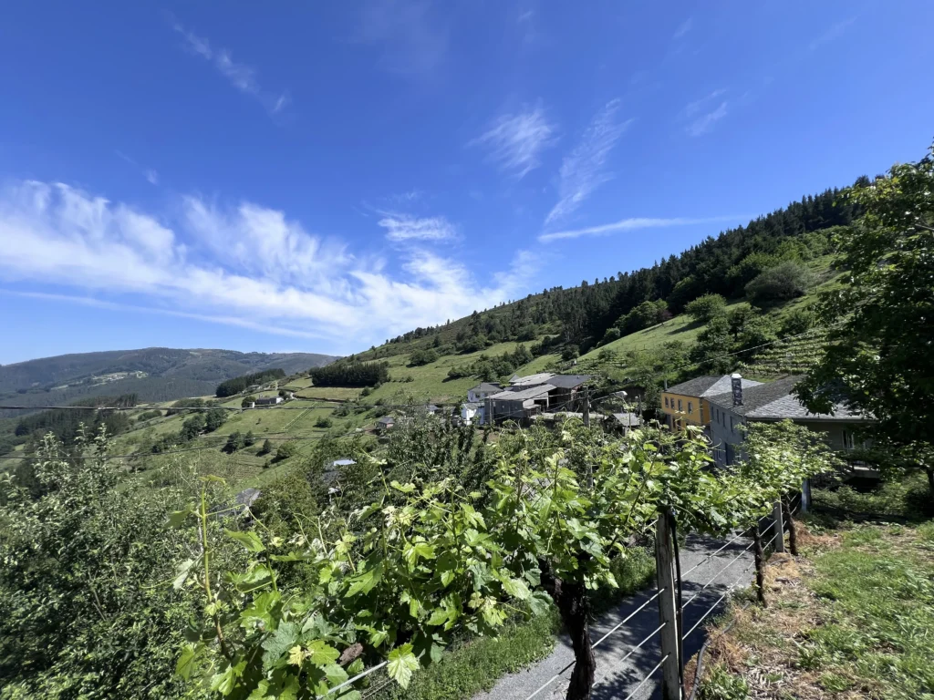 HUERTA-COMEDOR-1