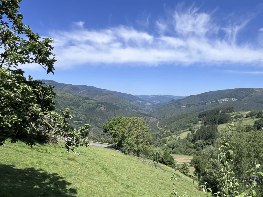 PAISAJE-2