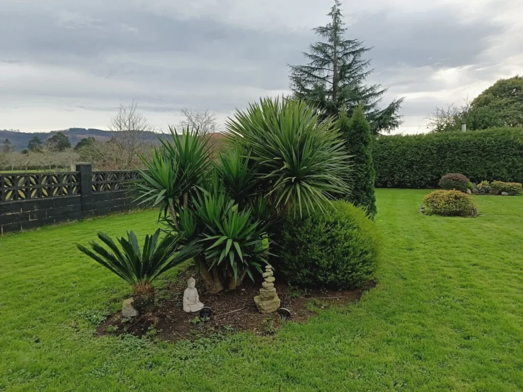 25-ARBOLES FINCA