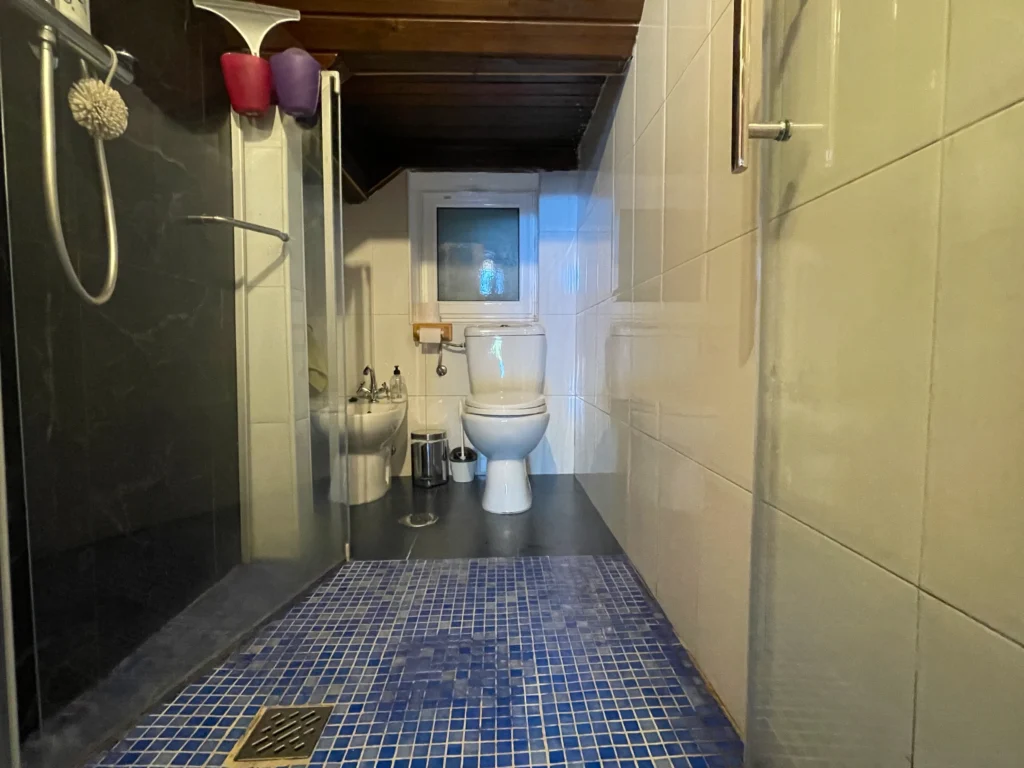 BAÑO2