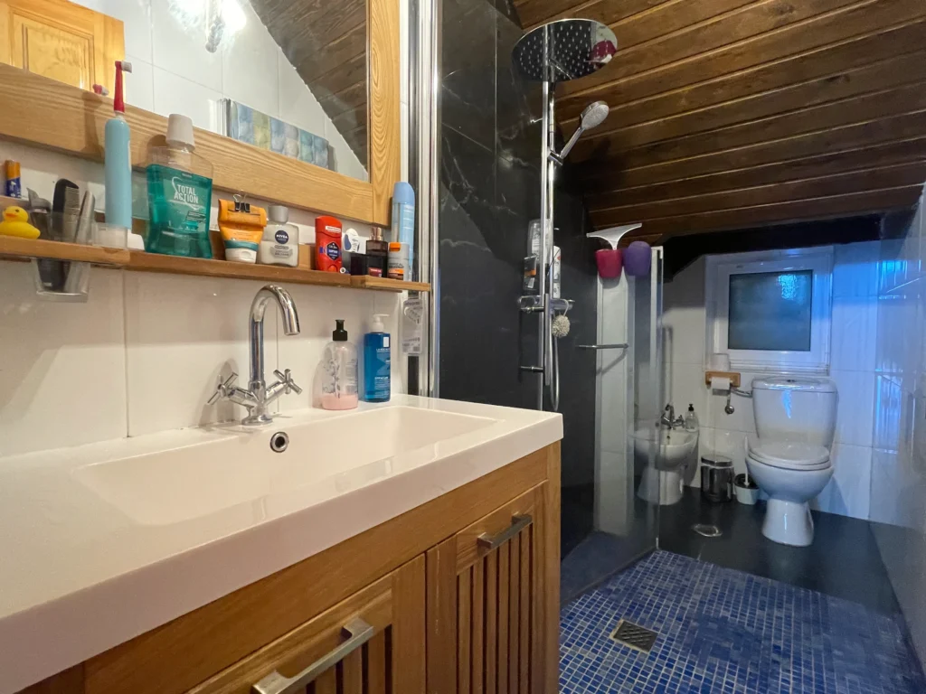 BAÑO3