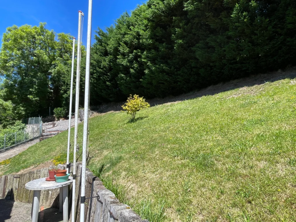 FINCA1