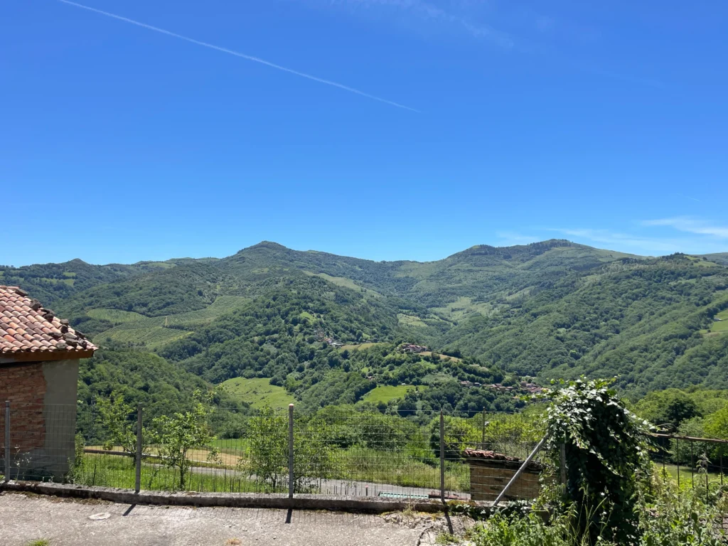 VISTAS_1